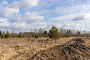 Купить «Dirt road in spring», фото № 33448326, снято 11 марта 2014 г. (c) Argument / Фотобанк Лори