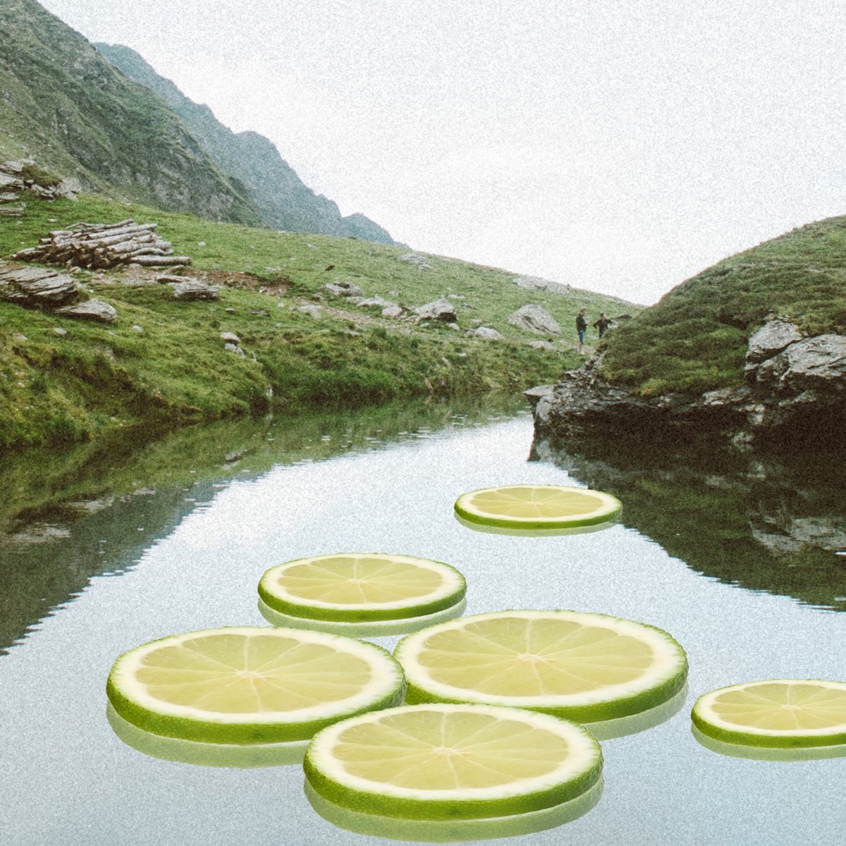 A digital collage by Liquid Pink. Huge slices of lime floating in a river.