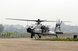 Фото: Indian Air Force / wikimedia.org