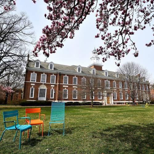 Three empty chairs on a campus quad