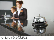 Купить «Hotel reception with bell», фото № 6543972, снято 15 октября 2014 г. (c) Дмитрий Калиновский / Фотобанк Лори