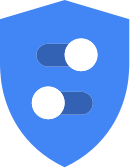 Google Privacy Logo