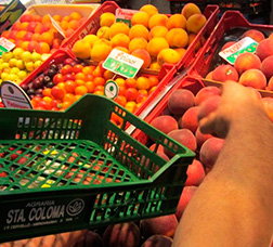 Imatge d'una parada de fruites d'un mercat