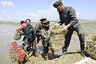 Farmers plant rice in paddy fields in Nampo, North Korea, on May 12, 2020. (Photo by Kyodo News via Getty Images)