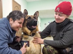 Высшее собачье. Как помогают собаки-проводники