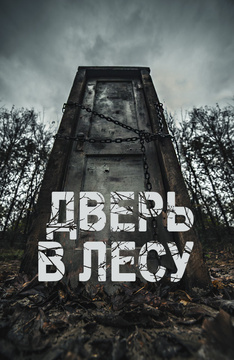 Дверь в лесу