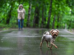 Как Москва выходит из самоизоляции: 50+ фото