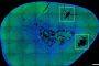 MIT researchers have devised a way to remotely control the release of stress hormones from the adrenal gland, using magnetic nanoparticles. This approach could help scientists learn how hormone release influences mental health, and could offer a new way to treat hormone-linked disorders such as depression and posttraumatic stress disorder.