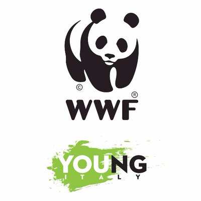 WWF YOUng