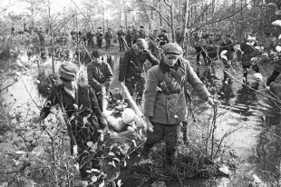    "Наша память идет по лесной партизанской тропе..." 