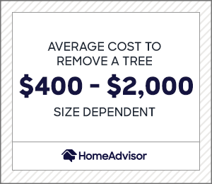 the average cost to remove a tree is $400 to $2,000 depending on size