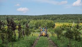 В Екатеринбургском лесничестве показали, как выращивают деревья для города