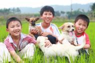 Smiling Asian children with their pet dogs.