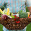 Корзина с урожаем овощей в руках садовода. Стоковое фото, фотограф Дарья Петренко / Фотобанк Лори