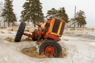 Сколько сможет заработать хозяин заросших угодий