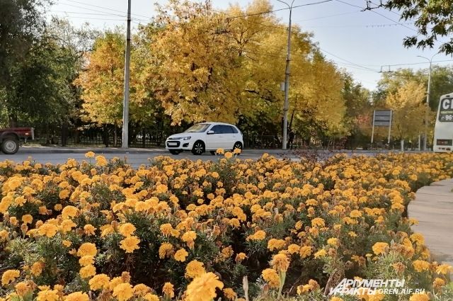 В Оренбург пришла осень.