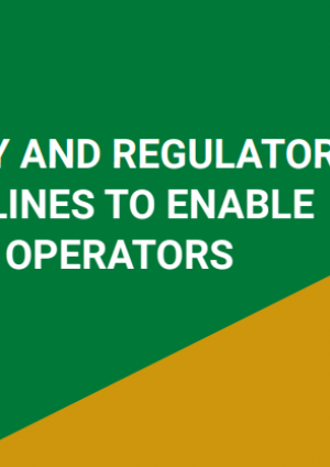 Expanding the telecommunications operators ecosystem: Policy and regulatory guidelines to enable local operators