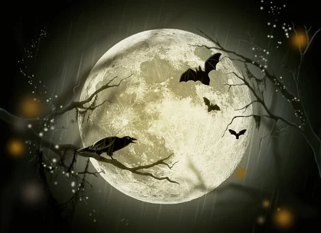 Halloween, Holidays, Mystery, Fairy Tale