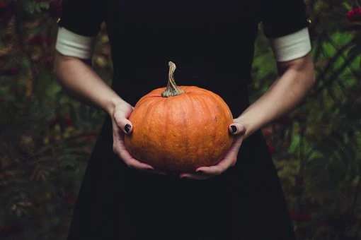 Pumpkin, Thanksgiving, Squash, Close-Up