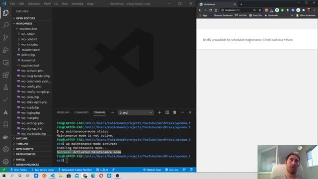 Fabio Pacifici: How to Enable Maintenance Mode using WP-CLI