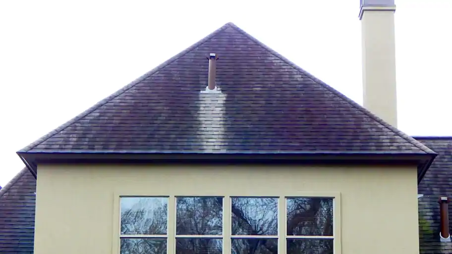 black algae on shingles before roof cleaning