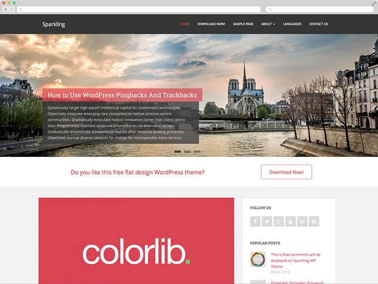 Sparkling - Flat WordPress Business Theme