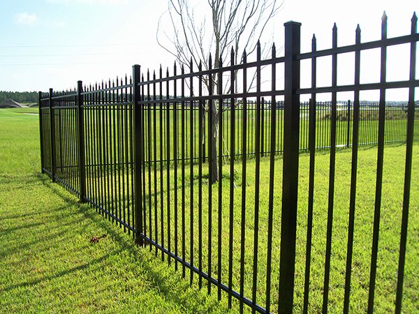 Wrought Iron Fence