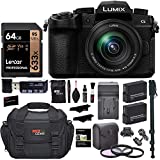 Panasonic Lumix G95MK Mirrorless Camera with 12-60mm f/3.5-5.6 Lens, Lexar 64GB Memory, 2 Spare Batteries with Charger, Monopod, Card Reader, Filter Kit, Cleaning Kit, Bag and More