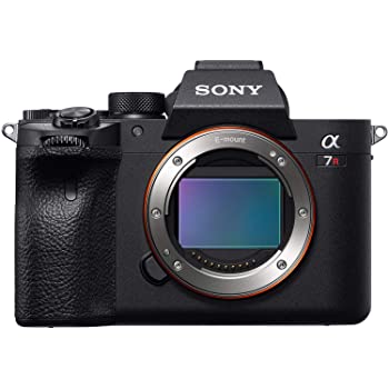 Sony α7R IV Full-frame Mirrorless Interchangeable Lens Camera (ILCE7RM4/B)