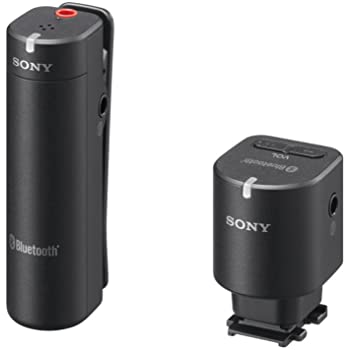 Sony ECMW1M Wireless Microphone (Black)