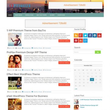 optimize wordpress theme