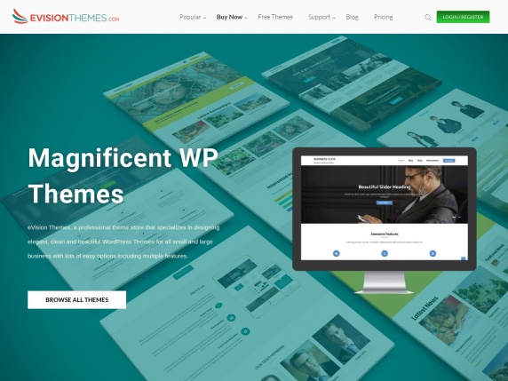 eVision Themes homepage