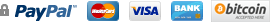 PayPal MasterCard Visa Bank Transfer Bitcoin