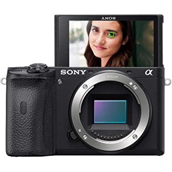 Sony Alpha A6600 Mirrorless Camera