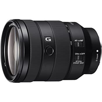 Sony - FE 24-105mm F4 G OSS Standard Zoom Lens (SEL24105G/2)