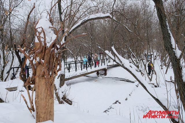 «Зелёное кольцо» в Перми.