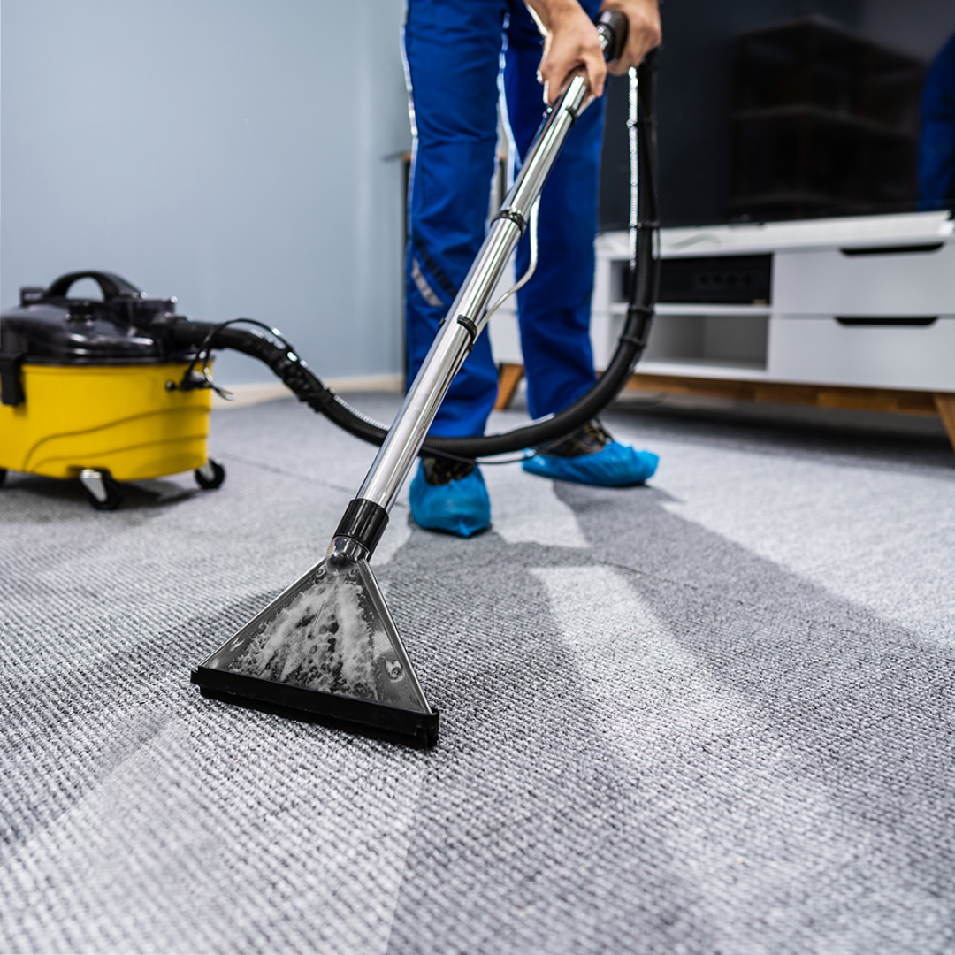 professional carpet cleaner deep cleaning gray carpet in a living room.