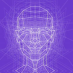 Image of face outline put together with several lines. Very cyberpunk.