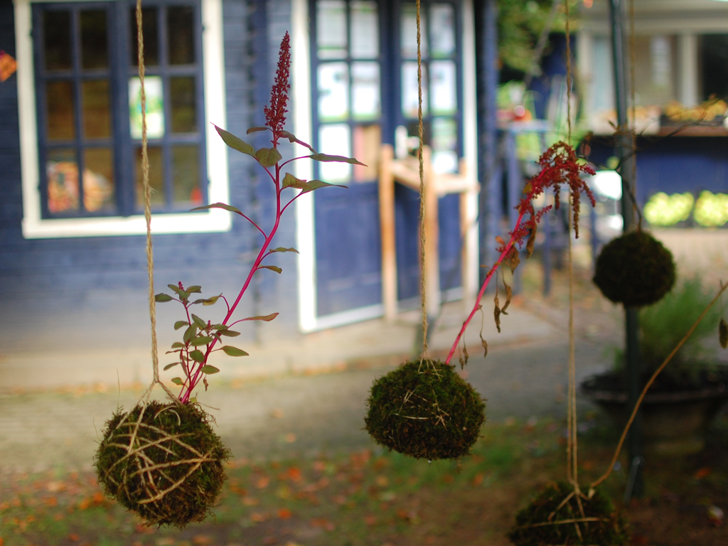 Planten voor de toekomst