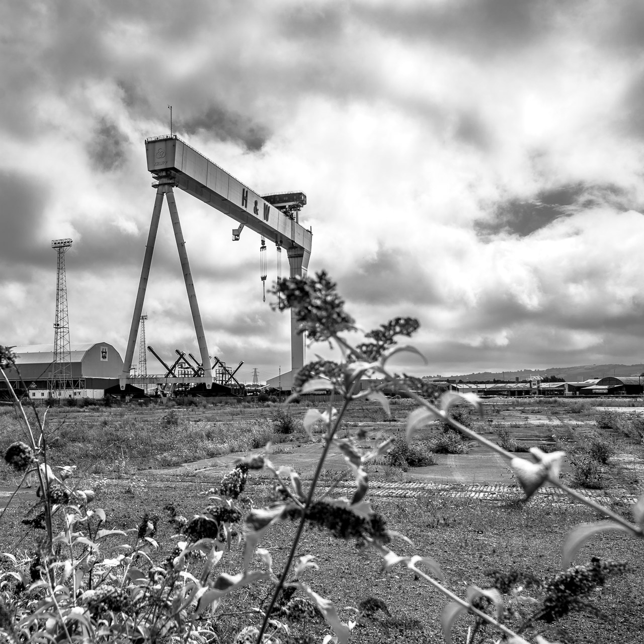 The Harland and Wolff Shipyard