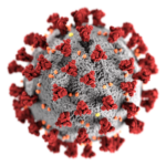 3D-Grafik des SARS-CoV-2-Virions.