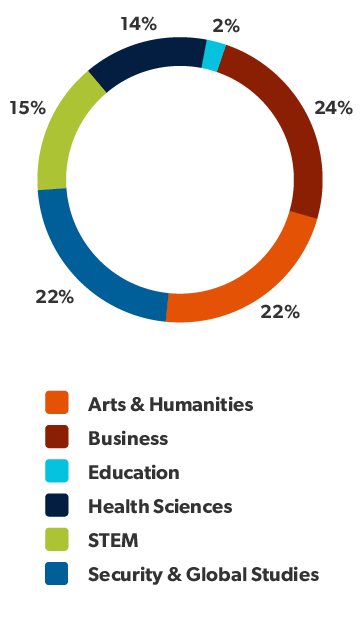 Graph depicting percentages of students broken down into the schools they study within