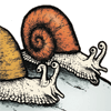 Snail Harassment