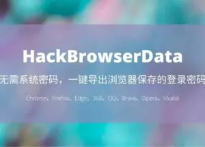 HackBrowserData - 无需密码，一键导出 Chrome、Firefox、Edge、360、QQ、Brave 浏览器保存的登录密码、历史记录、Cookies、书签 16