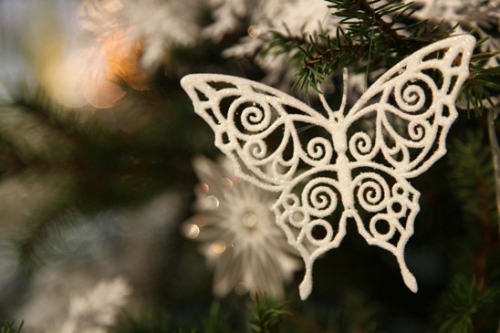 A filigree butterfly graces a Christmas tree.