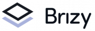 official brizy logo