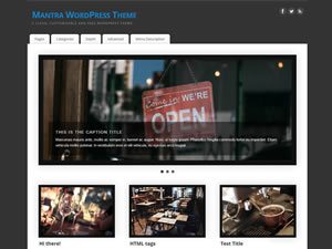 mantra-wordpress-theme-tiny