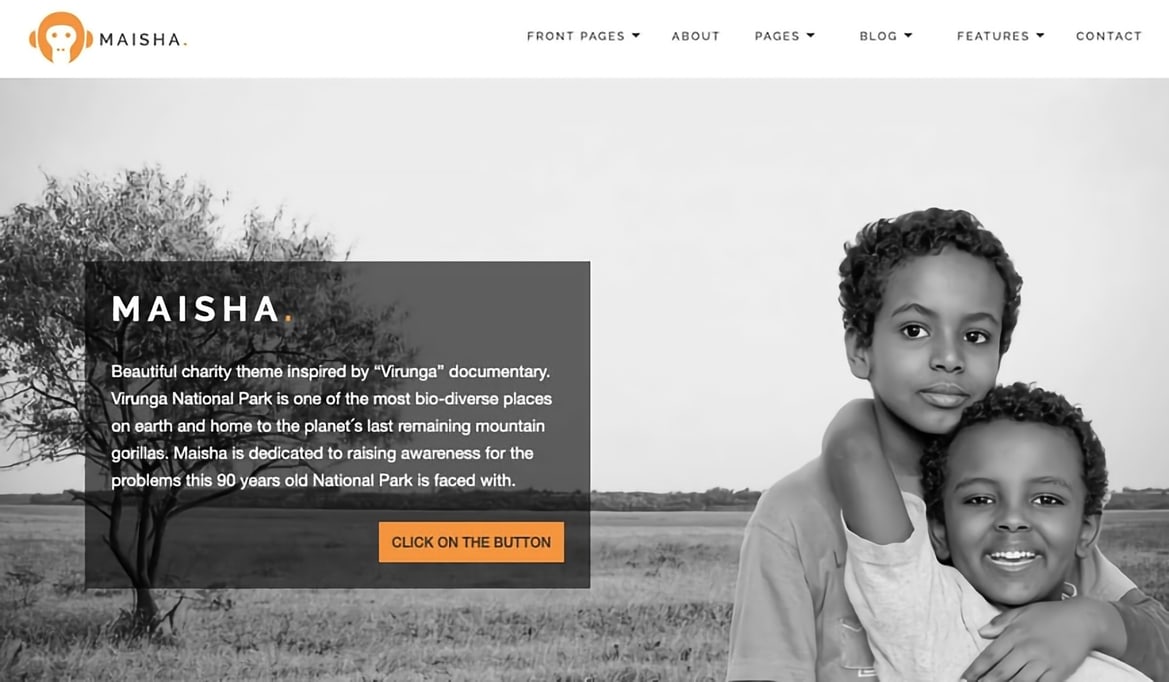 Maisha Charity WordPress Theme