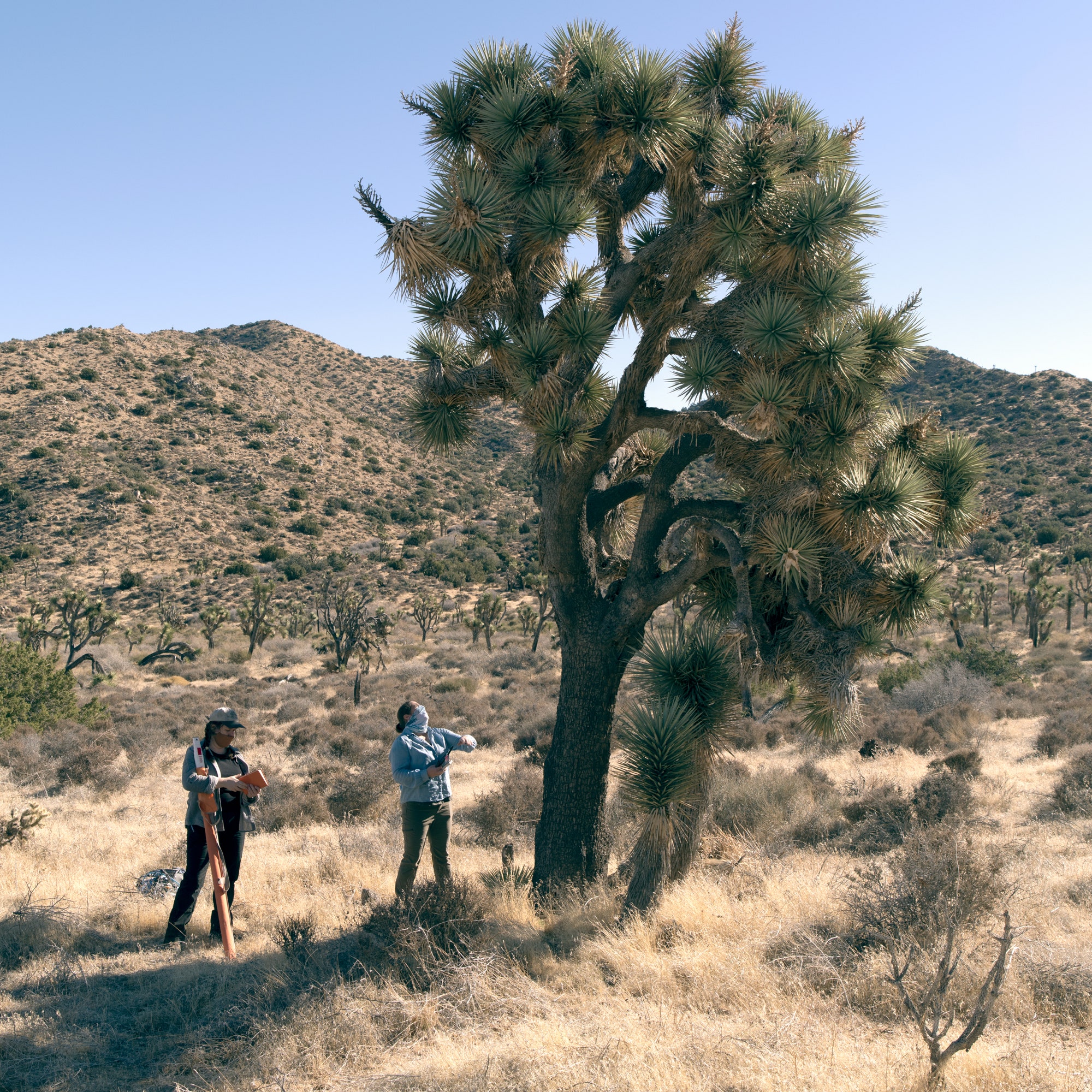 Image may contain Human Person Outdoors Plant and Nature