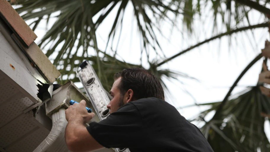 An exterminator checks a roof